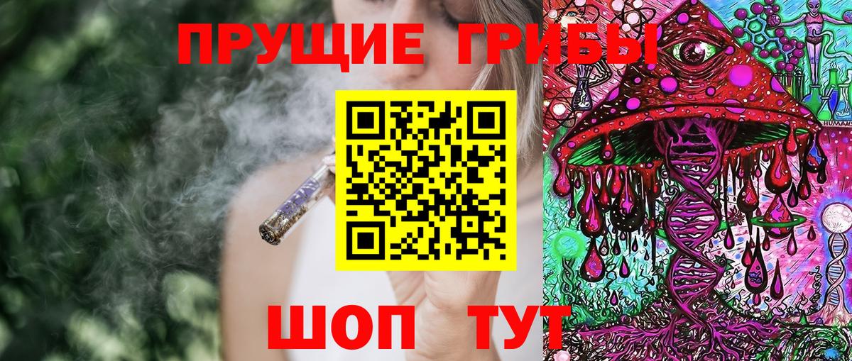 Гулькевичи  Галлюциногенные грибы Psilocybine cubensis  Вход с VPN 